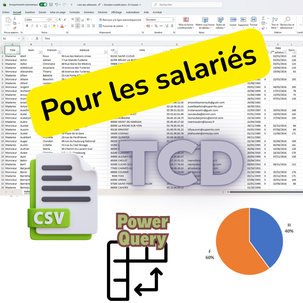 Excel - Données