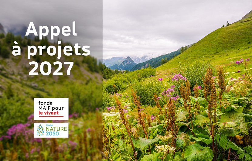 Appel à projets Fonds MAIF pour le vivant
