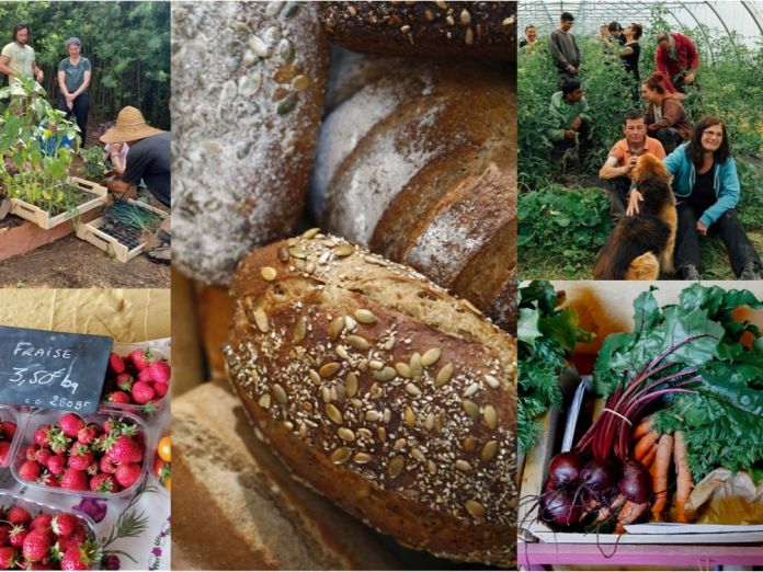 Soutenez la création d'un fournil bio artisanal